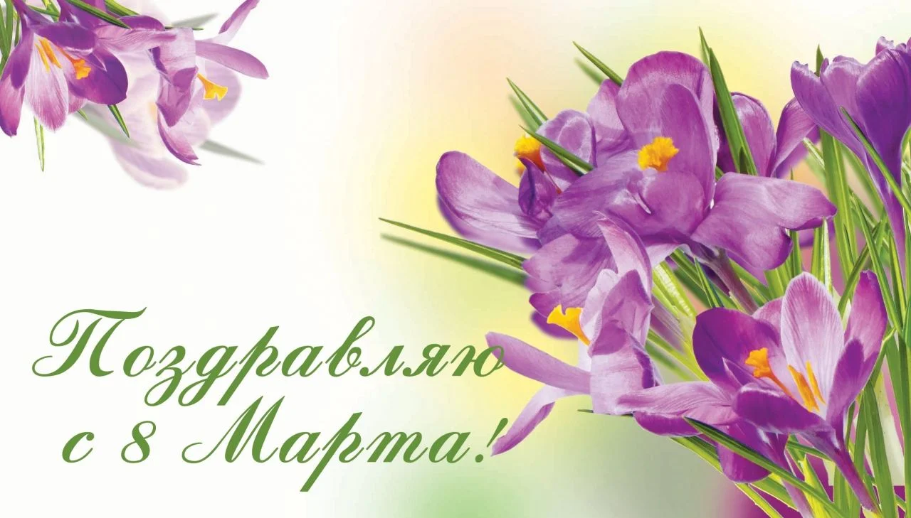 21950424.webp