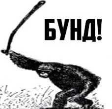 Без названия.webp