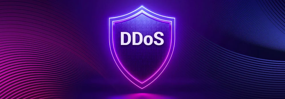 ddos.webp