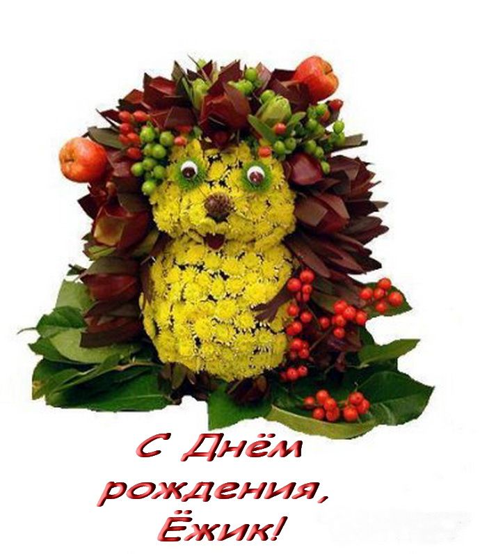 Ёжик-С-днём-рождения_5495931.jpeg