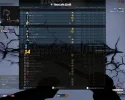 1st win.webp
