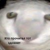 284a39849be1c3e43125cd38d36873375d4f0307_full.jpg