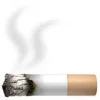 images (8).webp