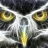 Night Owl◥▶◀◤