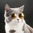 JustCat